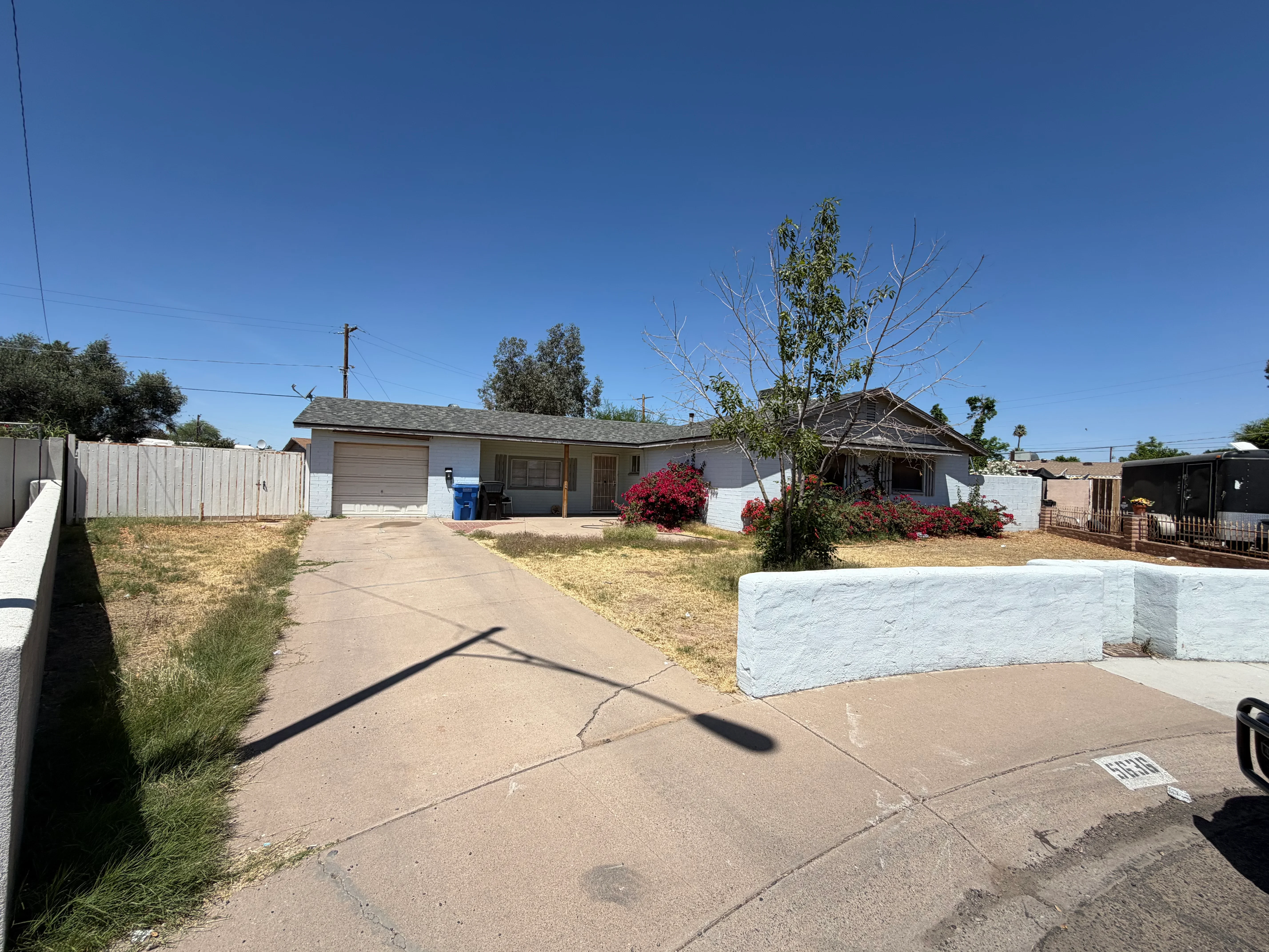 Concrete driveway with new landscape beds, flowering shrubs, and young trees in residential front yard