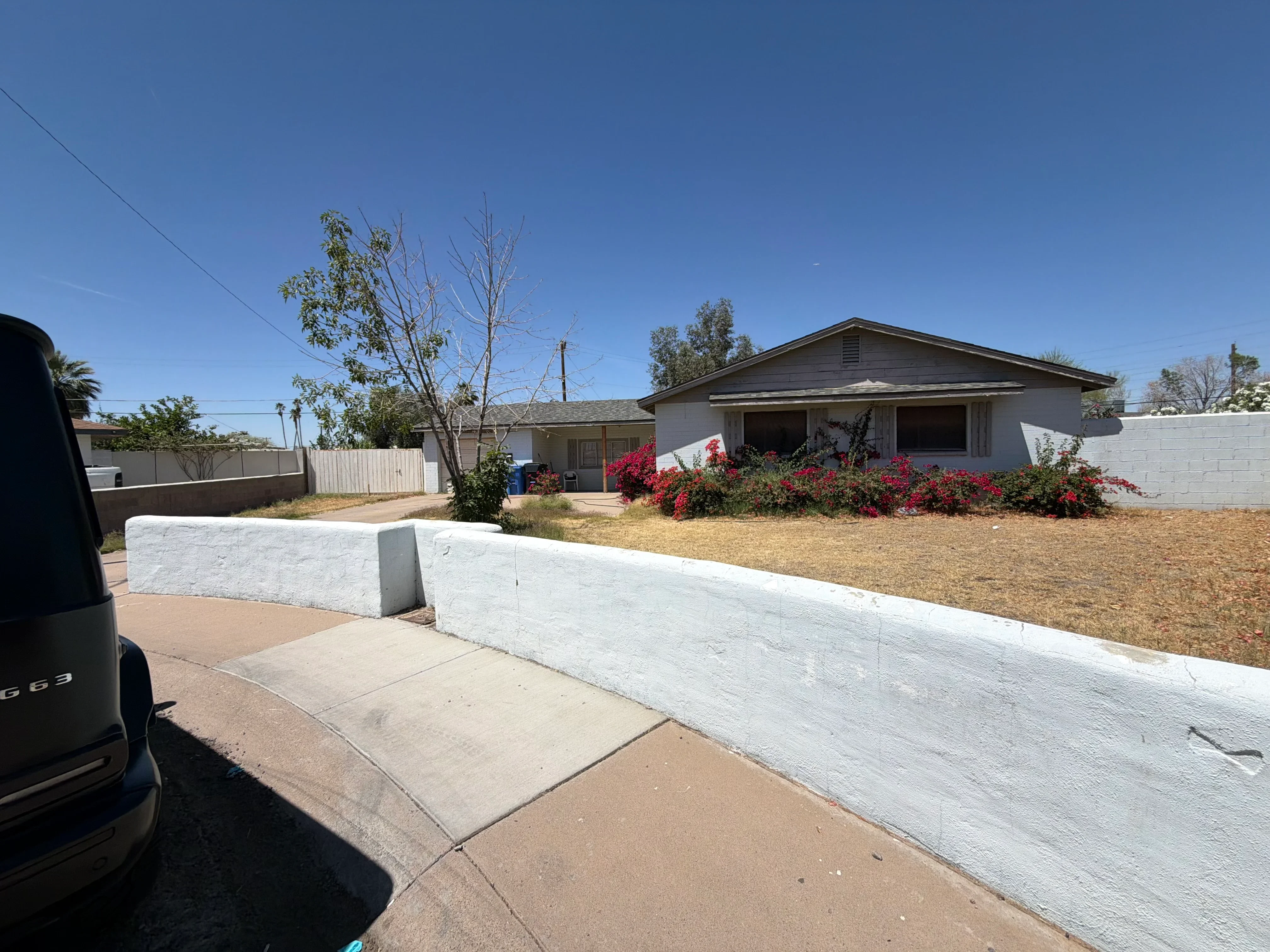 Front yard with fresh mulch, red bougainvillea shrubs, and mature trees in planting beds