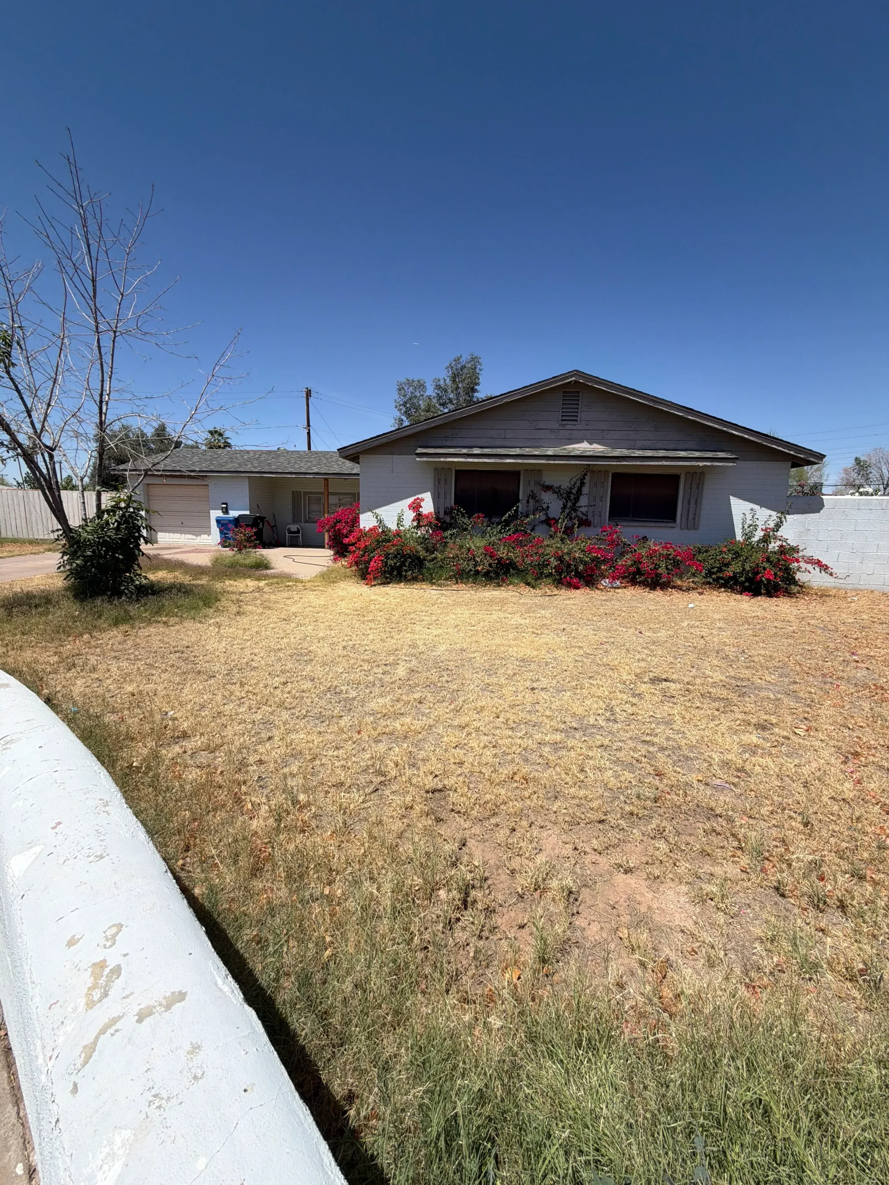 Residential home with red climbing vines on dark siding, graded soil, and established lawn